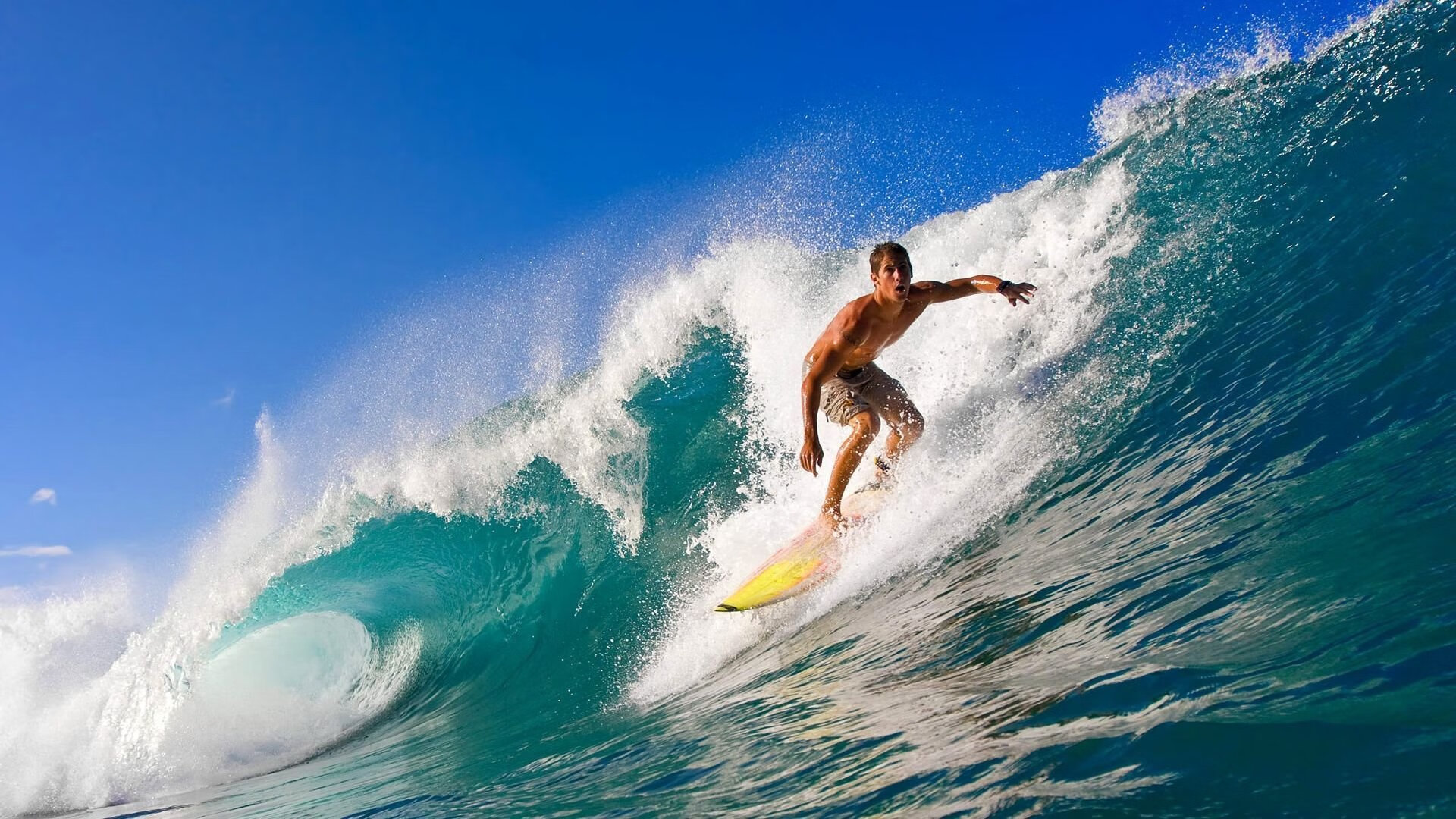 青年才俊的热血逆袭：从菜鸟到明星的成长历程